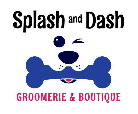 splash and dash for dogs