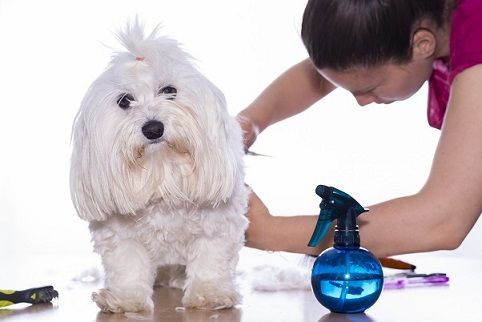 \"full_service_small_pet_groomers\"