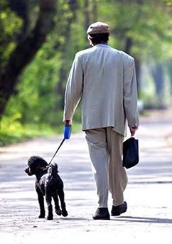 \"old-man-with-senior-dog\"